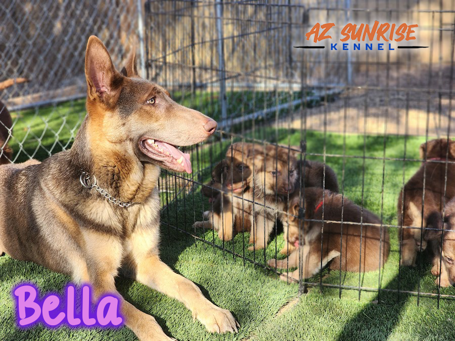 Bella