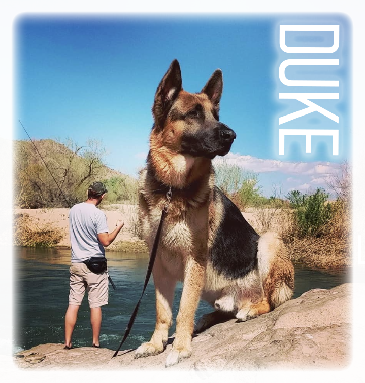 Duke